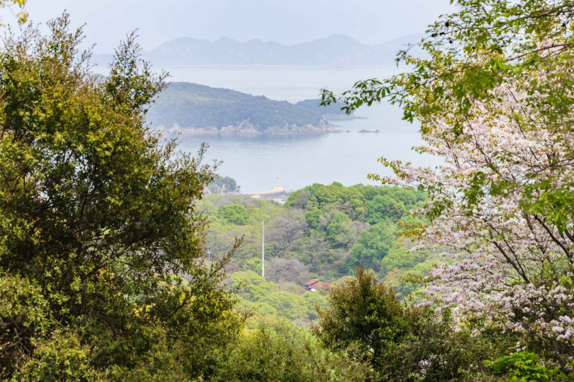 サブバナ―背景画像