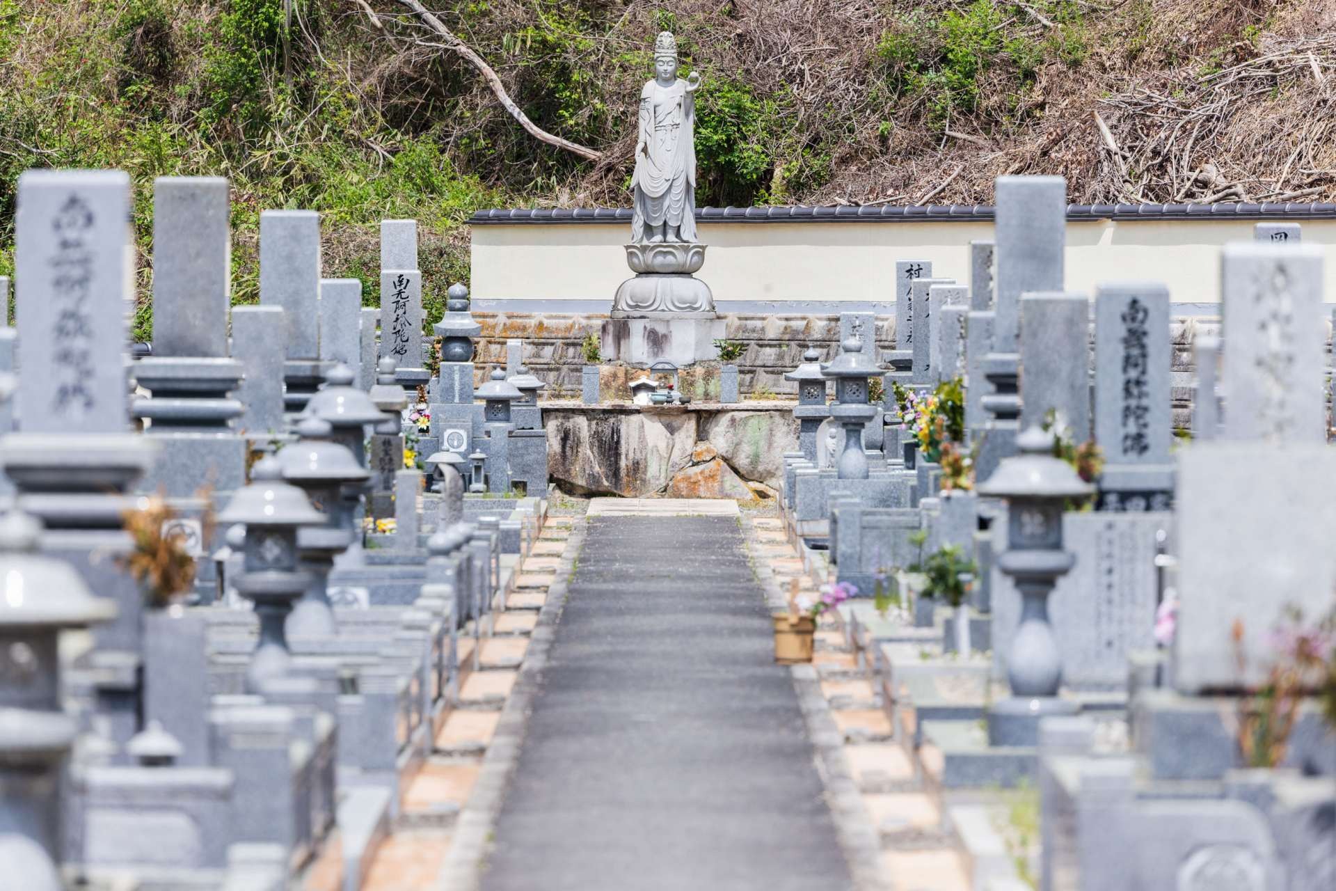 サブバナ―背景画像